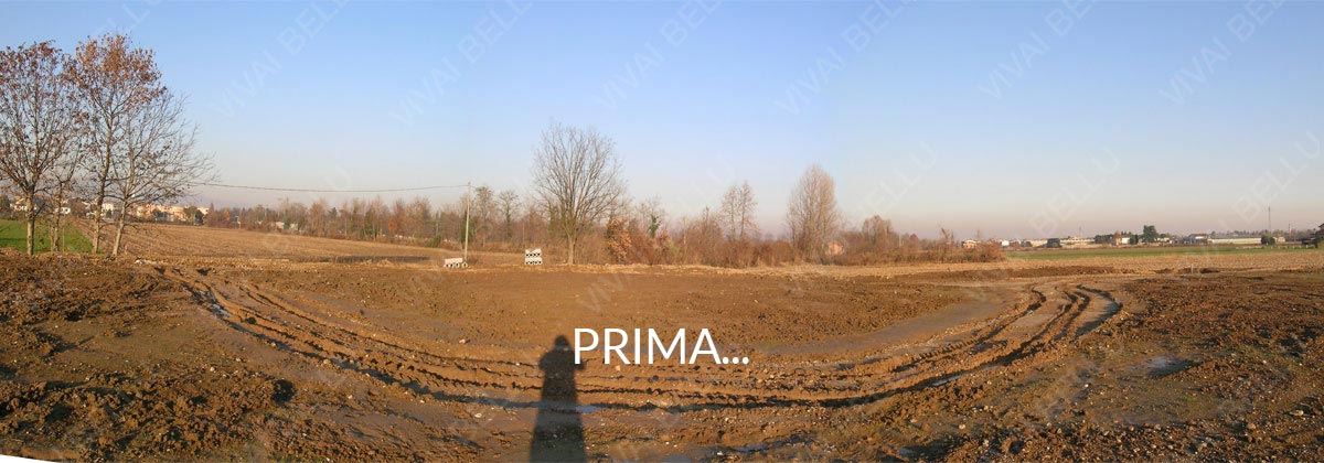 Prima